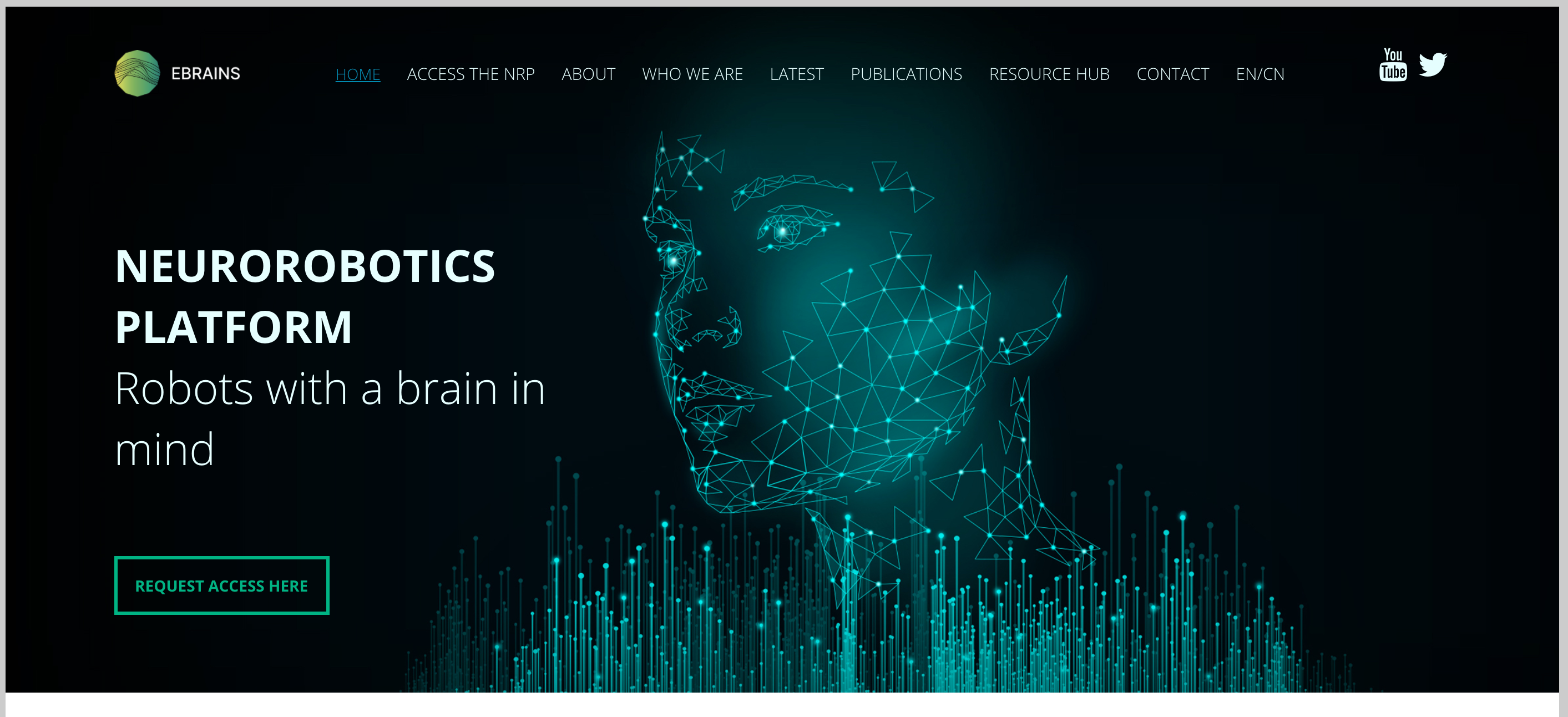 Image of EBRAINS neurorobotics platform